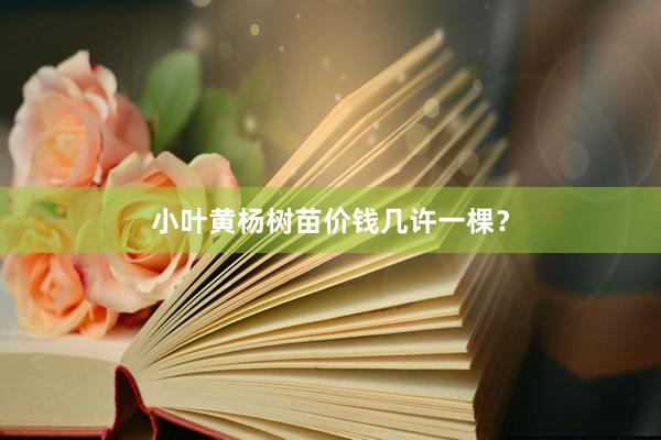 小叶黄杨树苗价钱几许一棵？